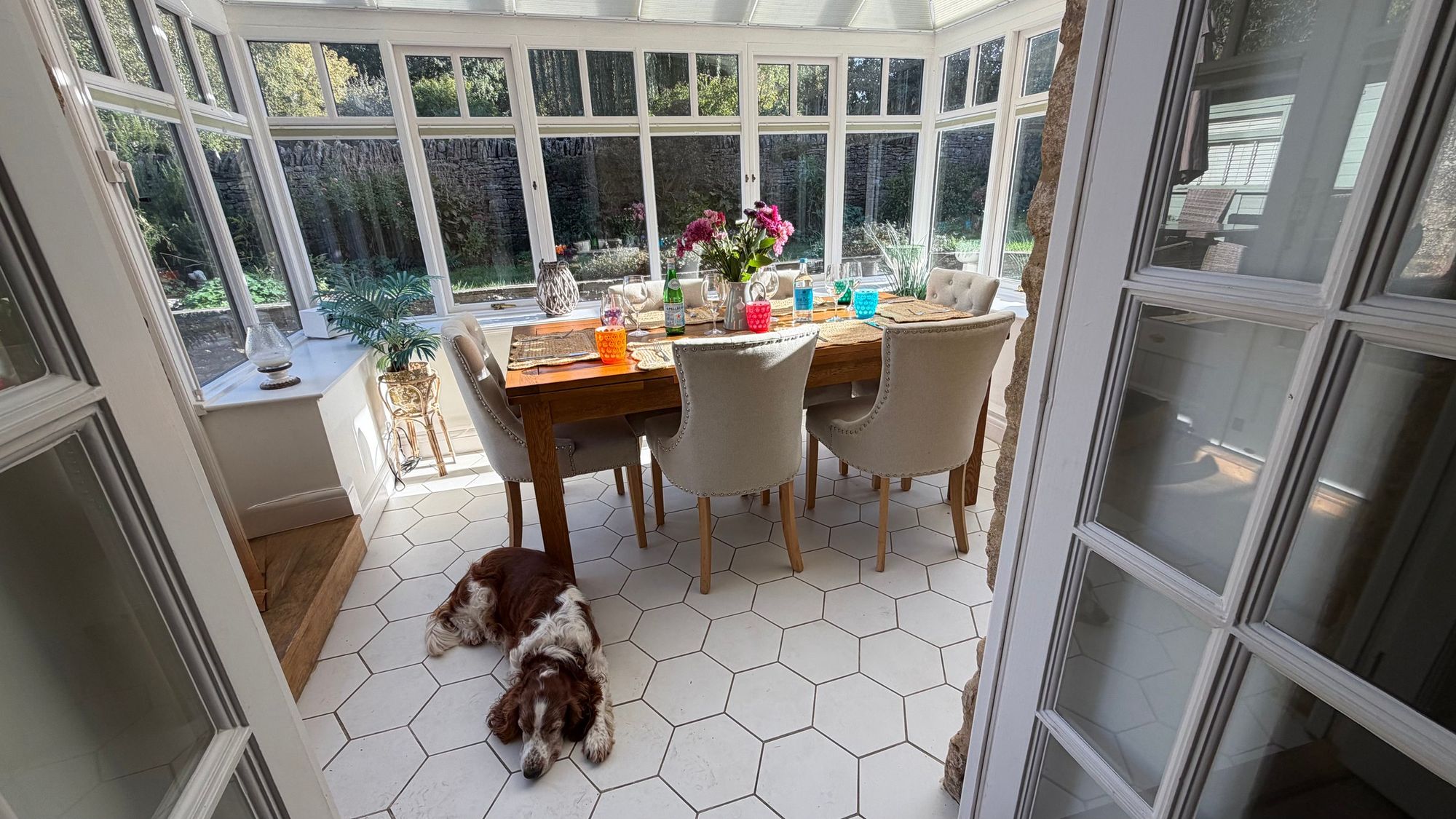 Dog relaxing in the conservatory at Glebe Cottage, a dog friendly Cotswolds cottage in Bledington